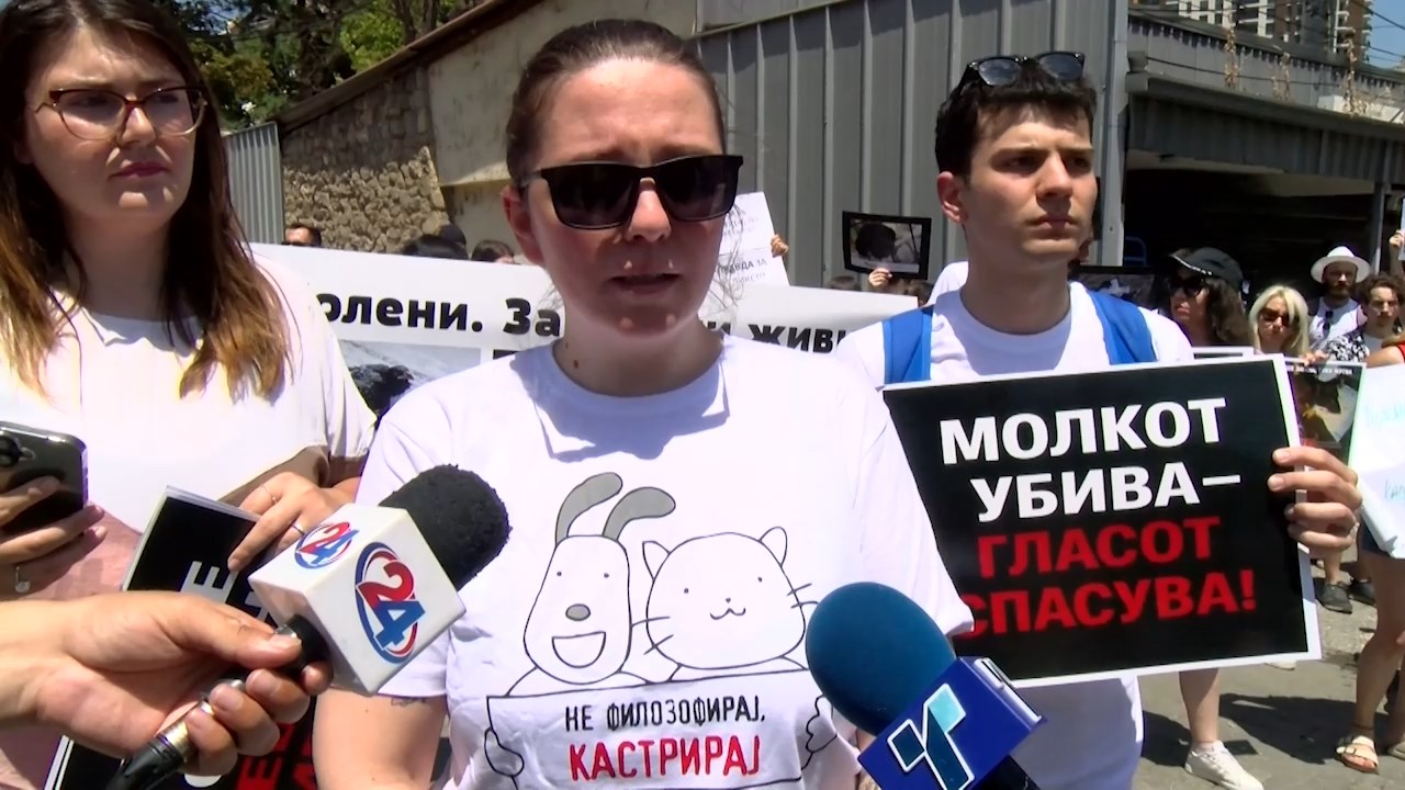Здруженијата за заштита на животните со протест поради одложено судење на кучето Феликс