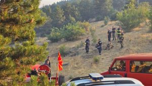 Фрлен отпушок од автомобил причина за пожарот кај Блаце?