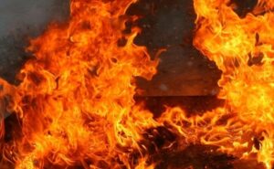 Изгоре човек, но и добиток во пожар во населбата Ѓорче Петров