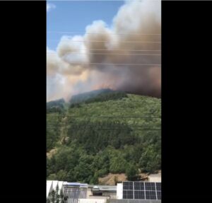 ВИДЕО: Пожар кај Крива Паланка, градоначалникот бара помош