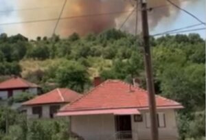 Митовски: Пожарите во Крива Паланка се локализирани, но сѐ уште постои опасност од разгорување