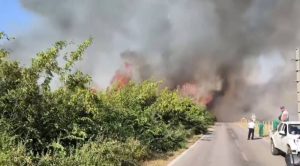 (Видео) Село Николиќ беше во опасност, пожарот локализиран, ветрот го промени правецот на движење на огнот