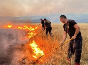 ЦУК: Десет активни пожари низ цела Македонија