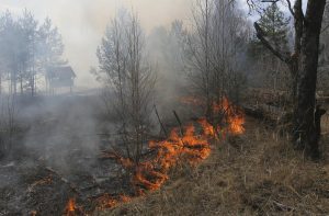 Седум пожари се активни, а четири се под контрола