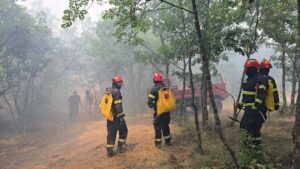 Ангелов: Во моментов најсериозен е пожарот во дојранско Николиќ
