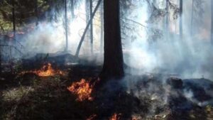 ЦУК: Активни пожари во „Јасен“ и на планината Китка