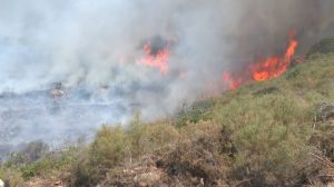 ЦУК: Активни два пожари во Македонија, изгаснати шест