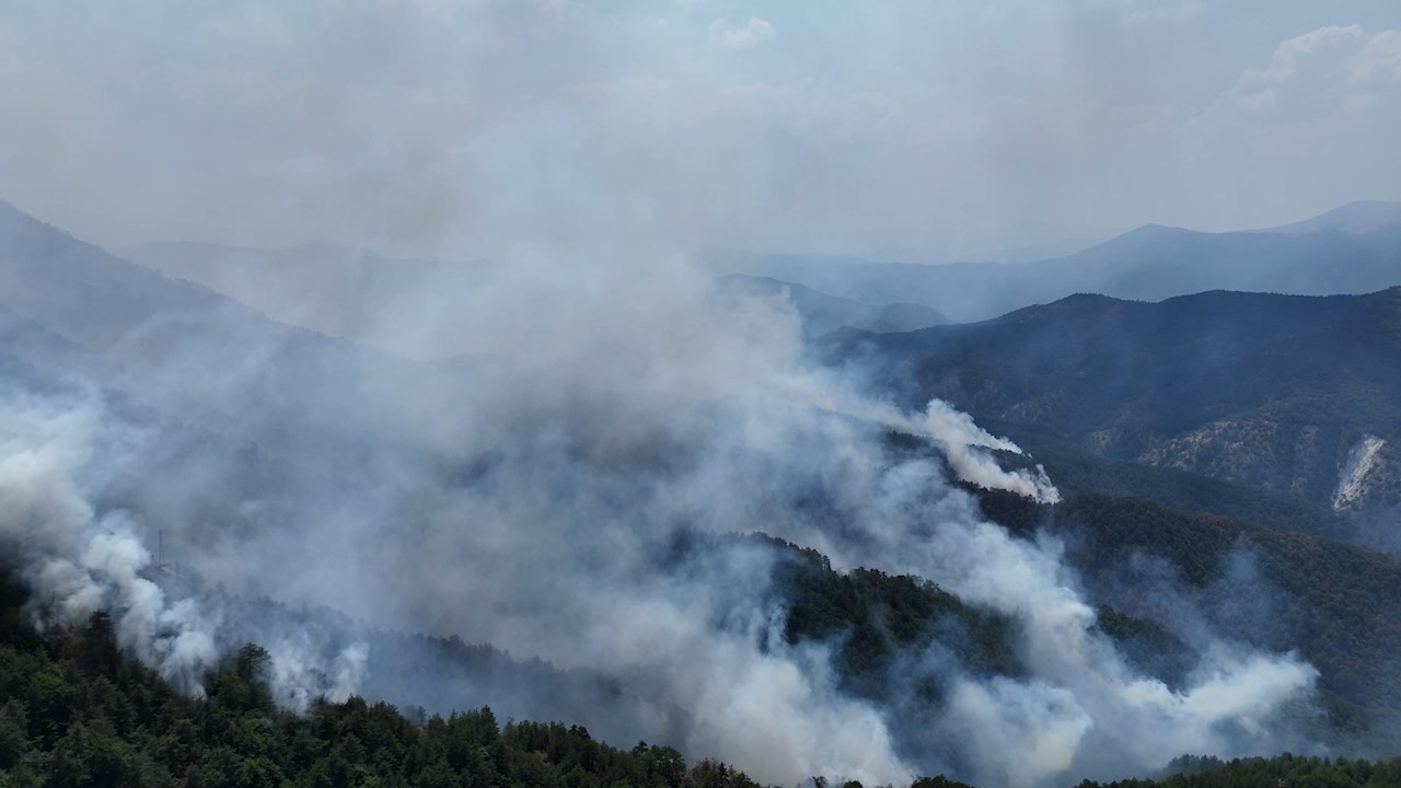 Пожари во Македонија, гори во Јасен