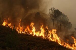 Гори депонија и сува трева кај Колешино, под контрола е пожарот во „Јасен“