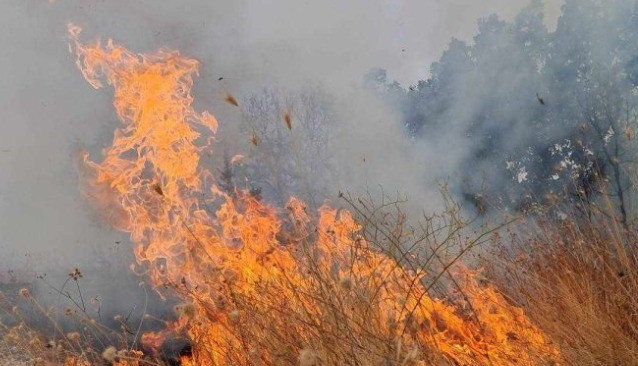 ГОРИ ВО ДОЛНЕНИ: Под контрола се пожарите во Јасен и село Колешино