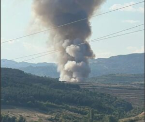 Ангелов: Постојат сомненија дека пожарот во „Дрисла“ е предизвикан намерно